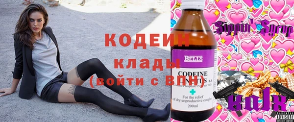мет Алексин