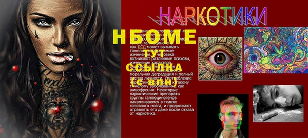 PSILOCYBIN Алзамай