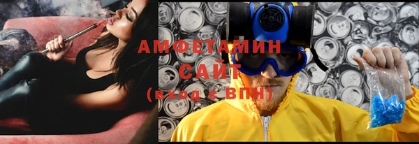 мет Алексин